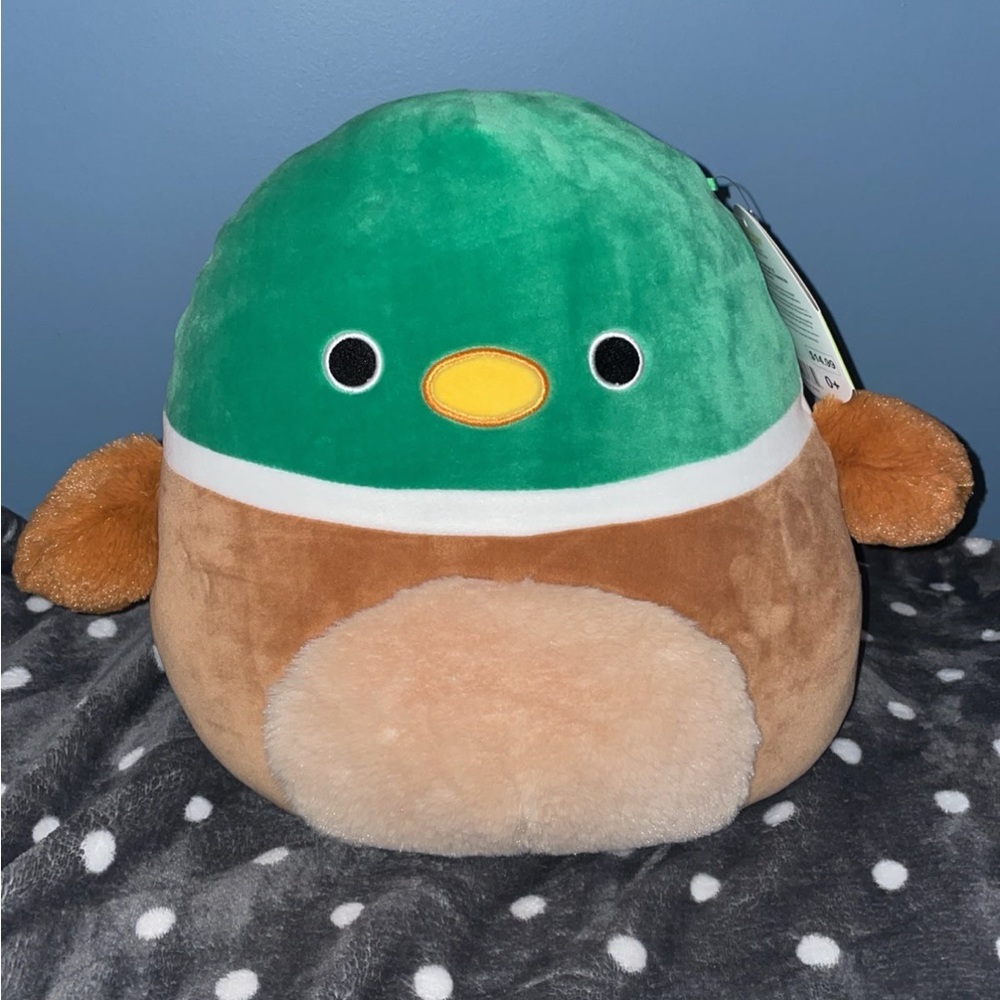Squishmallows Green and Brown Plush Toy